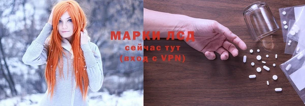 шишки Беломорск