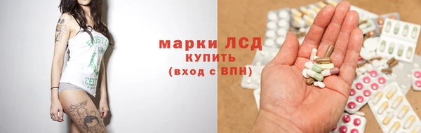шишки Беломорск