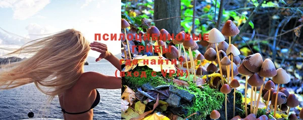 экстази Белокуриха