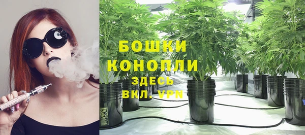 ALPHA PVP Богородск