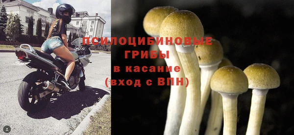ALPHA PVP Богородск