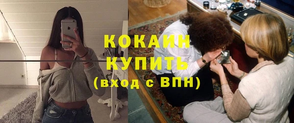 шишки Беломорск