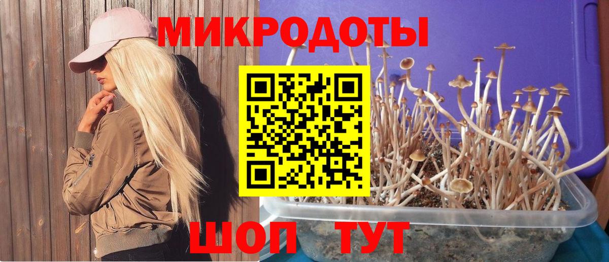 Псилоцибиновые грибы Psilocybine cubensis  как найти наркотики  Реж  Вход с VPN  Галлюциногенные грибы ЛСД 