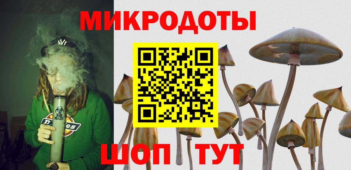 Галлюциногенные грибы Psilocybe Реж